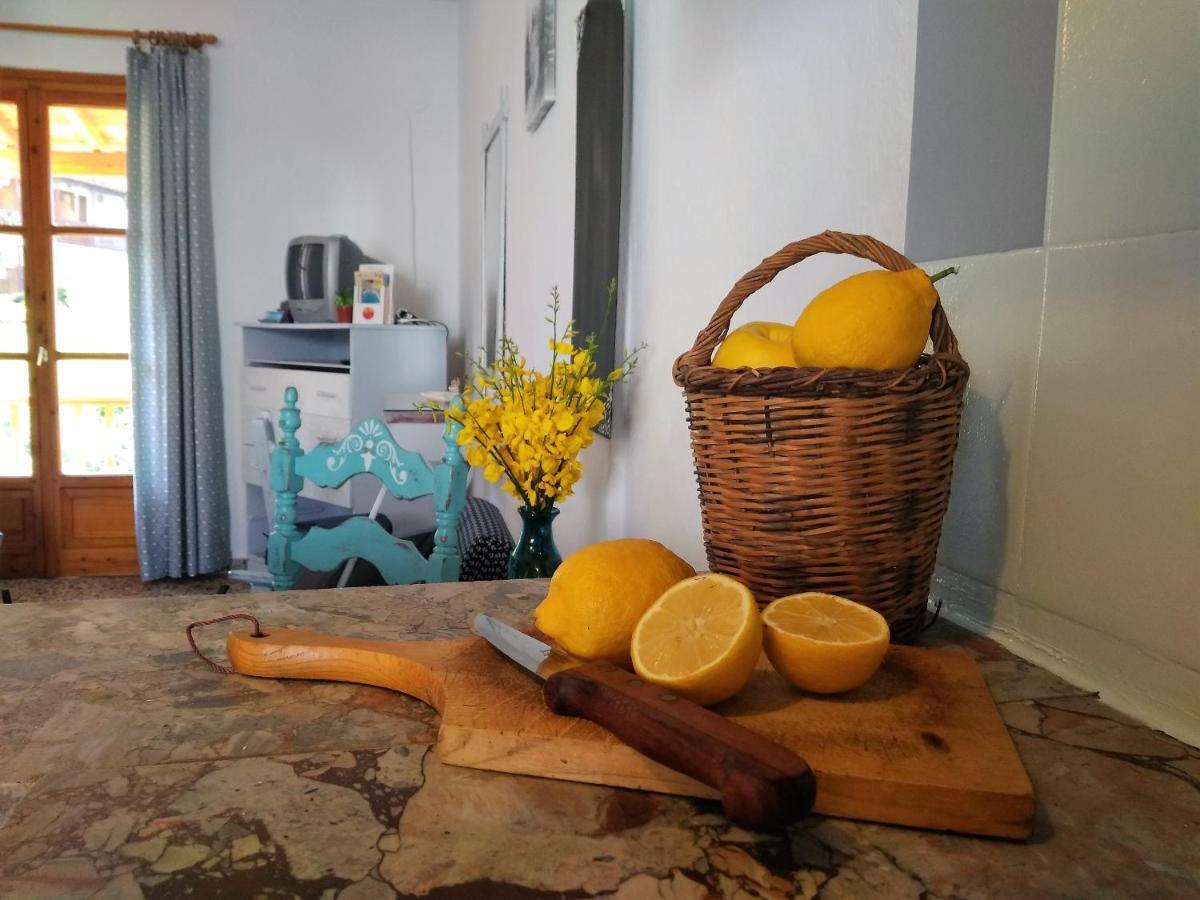 Kotroni Studios Skiathos-stad Buitenkant foto